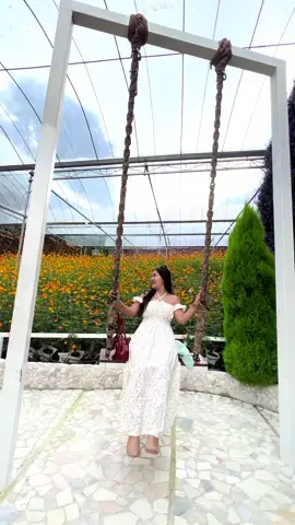#cameronhighland #malaysia #🌼🌼🌼 #foryou #foryoupage #fypシ゚ #Yadanar👑 