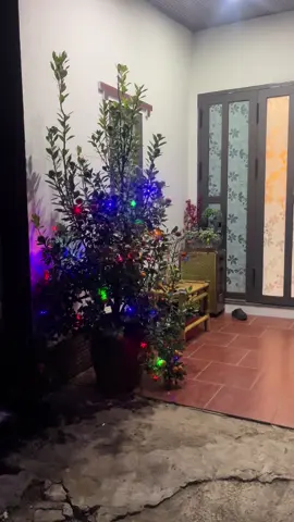 Đã done kèo tết )): 