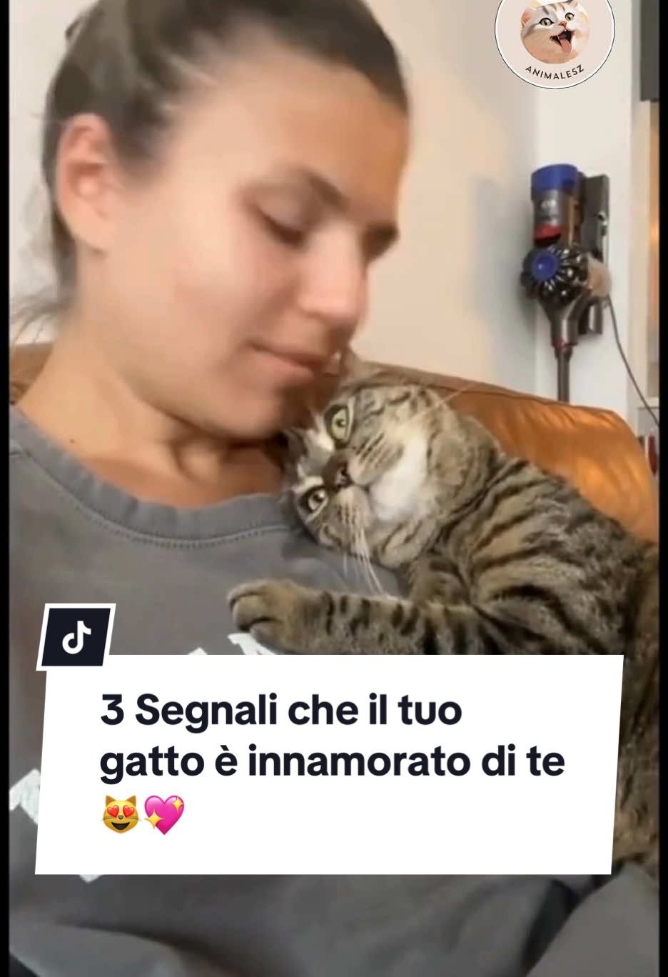 Vuoi sapere se il tuo gatto ti adora? Scopri i 3 segnali che dimostrano quanto ti ama! Se il tuo gatto fa l’ultimo segnale, preparati, perché è completamente innamorato di te! 😻✨ #Gatti #Amore #SegnaliDelGatto #AffettoFeline 