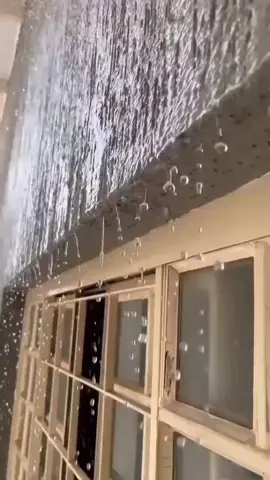 @ferrecentromuralla Te ofrece  aleros decorativos policarbonatados 🔝 🆕Ideal para puertas, ventanas y pasillos. ☀️Protección UV. 🪭 Es el complemento perfecto para tu espacio exterior. No esperes más y ven por tus Nuevos aleros decorativos a excelentes precios.‼️🤩🥳 Visítanos ya📢 📍Conoce todo lo nuevo que tenemos para ti en https://www.ferrecentromuralla.com/ 📌 Estamos ubicados en Almirante, calle principal, vía hacia el puerto. 📞 Para comunicarte con nosotros nos puedes escribir al número 6702-0077 y/o llamar al 760-3444 ¡COTIZA YA CON NOSOTROS!