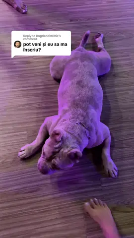 Replying to @bogdandimitrie  only girls & dogs allowed , sorry 😹