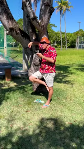 #cafe #resenha #muçao #alegria #humortiktok #humor #pegadinha 