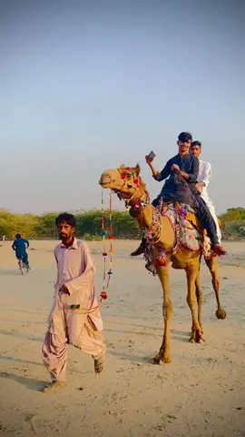 #fouryou #fouryoupage #viralvideo #viralvideo #fouryoupage #fouryou 