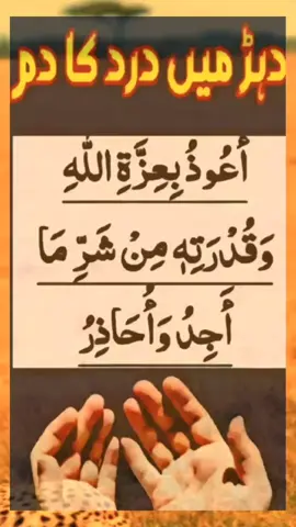 دیڑ میں درد کا دم أعُوذُ بِعِزَّةِ اللهِ وَقُدْرَتِهِ مِنْ شَرِّ مَا أَجِدُ وَأحَاذِرُ #islamicwazifa #islamicvideo #Islamic #growmyaccount #unfrezemyaccount #viral #foryoupage #foryou #islamicwazifa51 