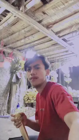 #pisangbalap🍌 @hendri gawir 