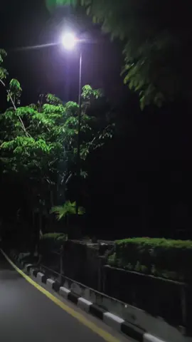 surat cinta untuk starla #liriklagu #lyrics #xyzabc #xyzbca #sepexi #fyp 