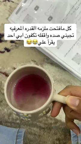 #قدره_معرفيه #القدره_المعرفيه #اكسبلورexplore 