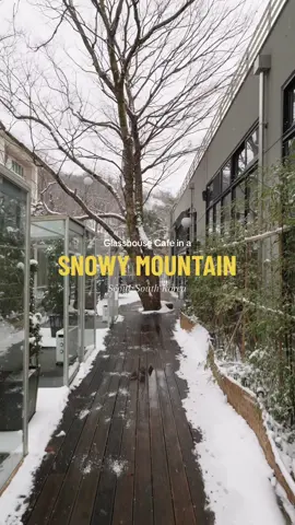 “깊은 산 속 설경을 마주하는 서울 카페” 눈에 덮인 북한산 계곡을 거대한 통창으로 감상할 수 있는 카페, 산아래. 겨울철이 되면 계곡 바로 위에 유리온실을 설치해 아름다운 설경을 더욱 가까이서 감상할 수 있는데, 한 팀씩 들어갈 수 있는 유리온실은 전기난로와 캠핑 테이블도 갖춰져 있어 산장에 온 듯 독특한 경험을 선사한다. 📍 카페산아래 🏷 서울특별시 강북구 삼양로181길 56 🕰 평일 11: 00 - 20:00 / 주말 11:00 - 22:00 ╱  “Glasshouse Cafe in a Snowy Mountain” Nestled deep in the mountains, ‘Cafe Sanare’ offers breathtaking views of the snow-covered Bukhansan Valley through its massive floor-to-ceiling windows. During winter, a glass greenhouse is set up right above the valley, allowing visitors to enjoy the enchanting snowy scenery up close. The glasshouse, available for one group at a time, is equipped with an electric heater and camping table, offering a cozy and unique experience reminiscent of a mountain lodge. The cafe’s menu features sweet cream coffee and croffles as its highlights, along with a variety of other options, making it a great spot for family outings. 📍 Cafe Sanare 🏷 56, Samyang-ro 181-gil, Gangbuk-gu, Seoul 🕰 Weekdays 11:00 - 20:00 / Weekends 11:00 - 22:00 #서울카페 #seoulcafe #koreacafe #koreatravel #seoultravel #snow #coffeeshop