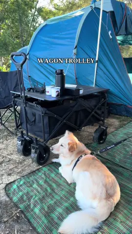 #wagon #trolley #wagontrolley #campingtrolley #campingweekend #camping #campsite #campinglife⛺️ #nature #wheninrizalph #campingessentials #tanayrizal #nature #campingtrip #campingutensils #campingkitchenware #camp 