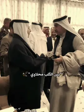 #البومحل #البومحل_اخوة_فطيم  #عشيرة_البومحل #دليم_وعز_دليم  #النائب_الشيخ_عادل_خميس_المحلاوي  #الشيخ_صباح_سطام_عفتان_الشرجي  #CapCut #بس_الكلب_عراقي🇮🇶  #اكسبلورexplore 