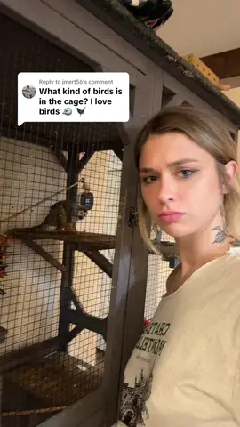 Replying to @jmert56 my fav type of bird 