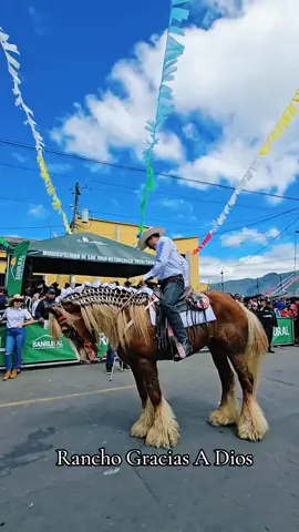 #paratiiiiiiiiiiiiiiiiiiiiiiiiiiiiiii #destacame #fyp #viral_video #caballos #caballosbailadores #gypsyvanner #caballostiktok #soyyessy #ranchograciasadios #rancho #cowboy #hipicosguatemala🇬🇹 