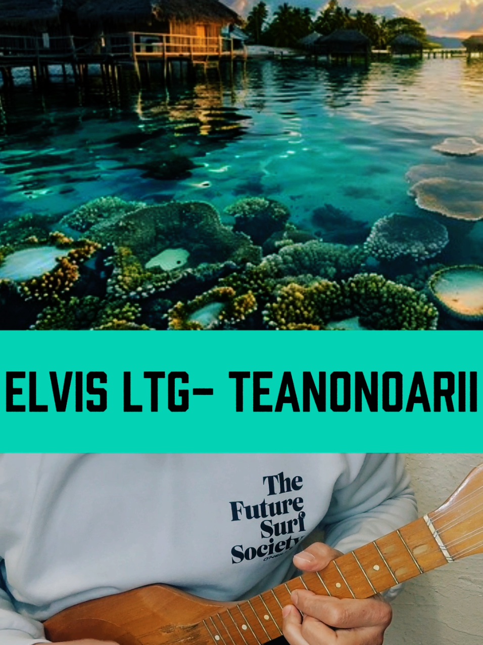 ➡️ Teanonoarii interprété par Elvis Ltg.#ariitama #teahopurotu #ukulele #ukuleletutorial #teavapiti 