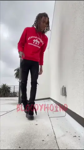 The Legs😂 #bloodhoundliljeff #Vert7900 #vert #bloodhoundvert #bloodyhoundliljeff #bloodhound #lilscoom #longliveliljeff #longlivelilscoom & #chicago #drill #fyp #viral 