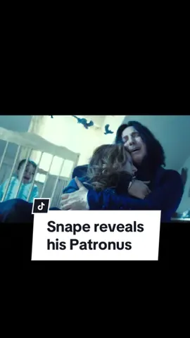 this scene made me cry, obviously #harrypotter #severussnape #lilypotter #movierecommendations