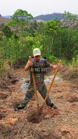 uns negam, uns esperam, eu ajudo a quebrar a corrente de desespero e inação e te convido a participar da libertação dos nossos povos e do nosso meio ambiente! vamos plantar um futuro melhor! nos próximos dias você vai acompanhar a jornada de eu e minha família plantando 465 árvores em apenas quatro meses! e no fim renovando esse compromisso pra plantar ainda mais!!! #natureza #mataatlantica #reflorestamento #meioambiente #futuro 