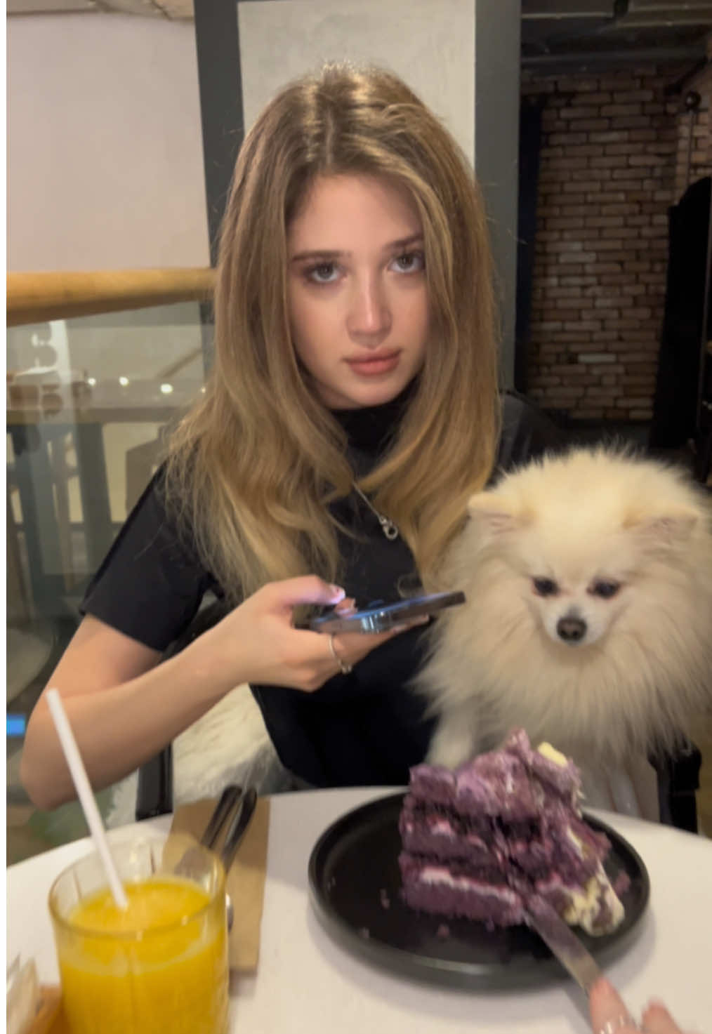Собачка тоже хочет тортик 😍