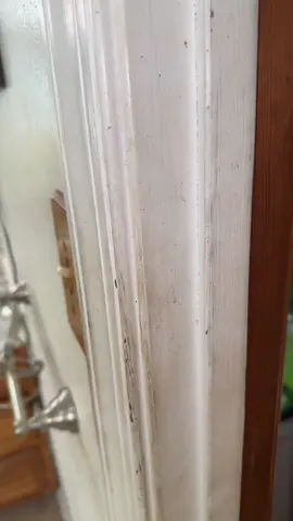 Every household needs a steam cleaner ‼️