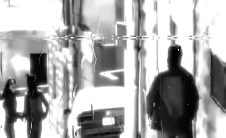 انا وياج يا ام شامه ! #قاسم_السلطان #العنزي🇰🇼 #اغاني_عراقيه #اغاني 