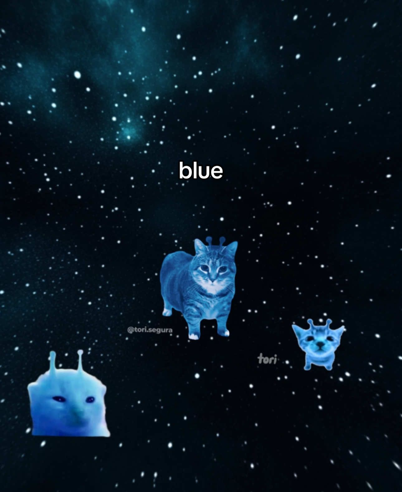 I‘m u 🗣️🗣️ @Ethel the OIIA Cat 😼 OIIA Cat x Blue (Da Ba Dee) by Eiffel 65 #cats #lyrics #blue #imblue #fyp #foryou 