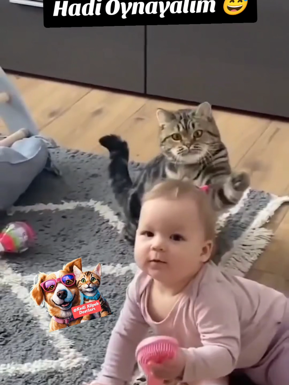 O da neyin nesi 😅#kedikopekvideolari  #cat #catlover #catbaby #petslover #catsoftiktok #game 