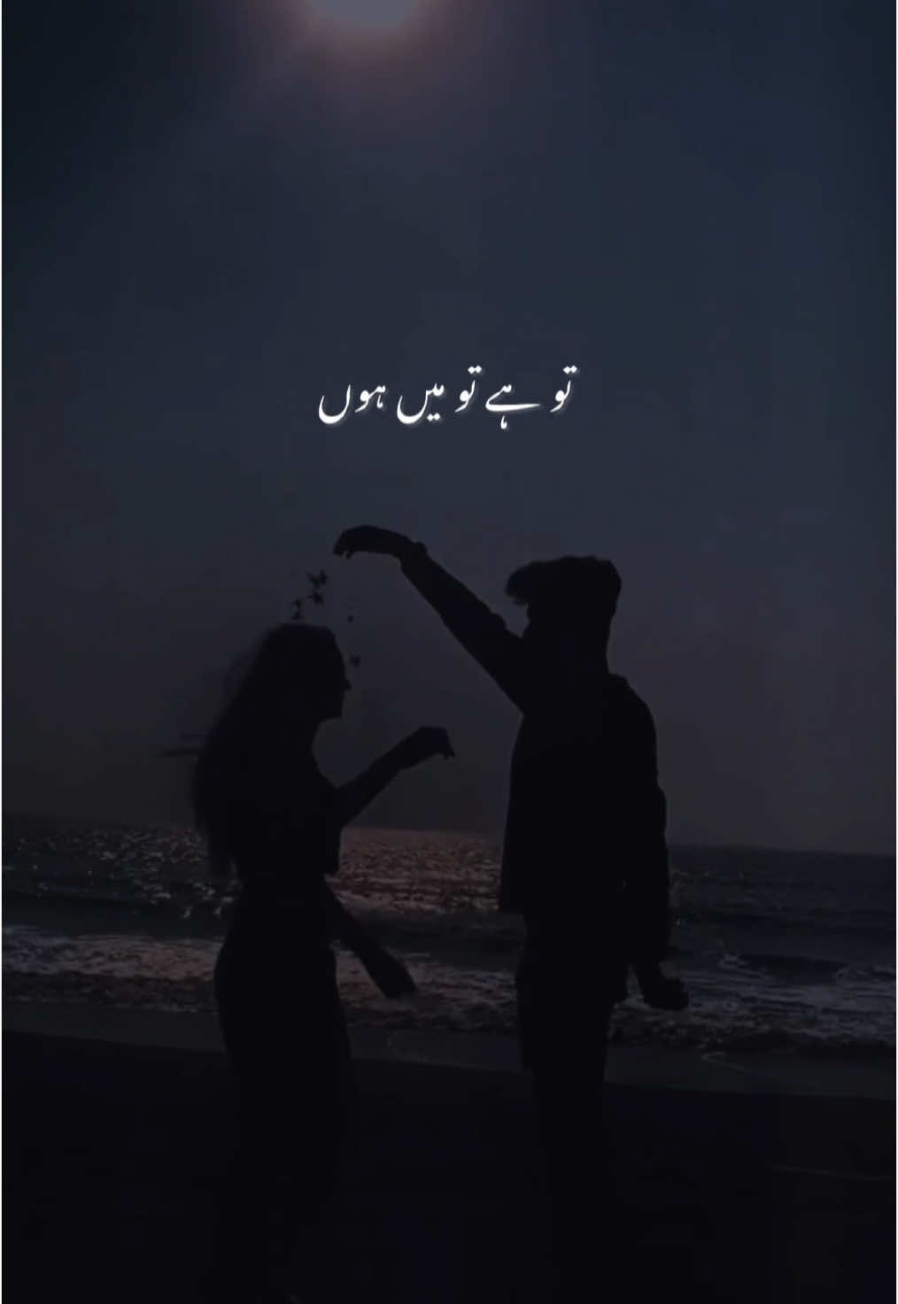 Tu Hain To Main Hu - Arijit Singh - Sky Force #CapCut #arijitsingh #arijit #arijitsinghnewsong #tuhaintomainhu #skyforce #amnamir #glimpseofnature9 