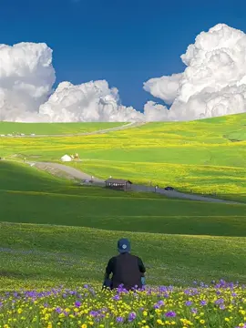 large green field #china #field #fyp 
