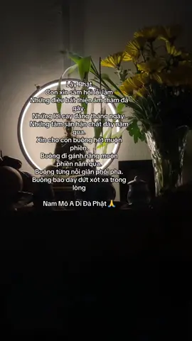 @Trịnh Duy #phatphapnhiemmau 