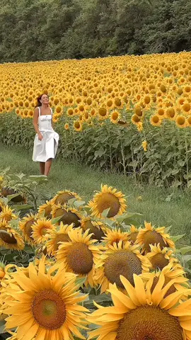 #CapCut #foryoupage_tiktok ✨️💖🌻