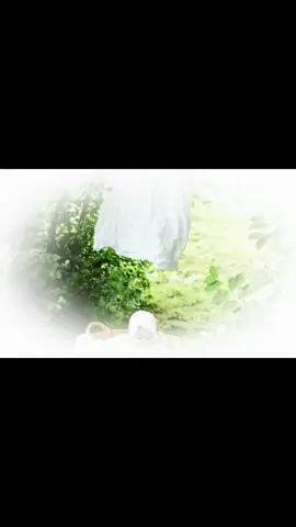 all i want #girlblogger #nature #traditional #edit #lanadelrey #pinterest #2002 