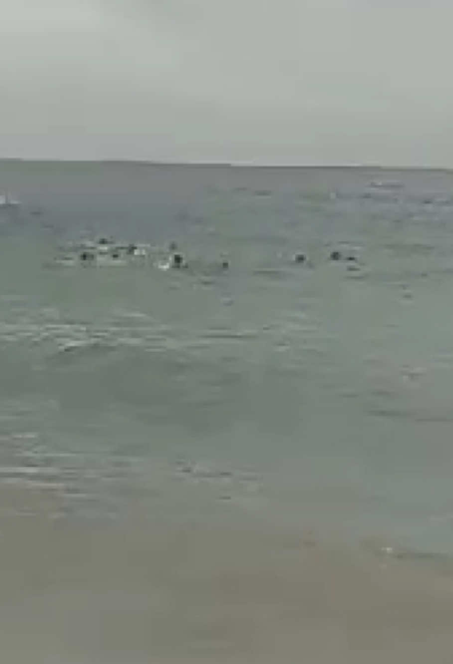 Detik2 siswa smpn 7 mojokerto tenggelam di pantai drini #siswasmp #viral #tenggelam #gunungkidul 