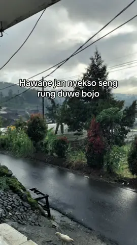 😭😭🤣#storytime #brandatiktok #fyppppppppppppppppppppppp #foryou 