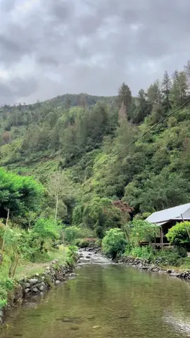 #fypシ #beranda #lewatberanda 