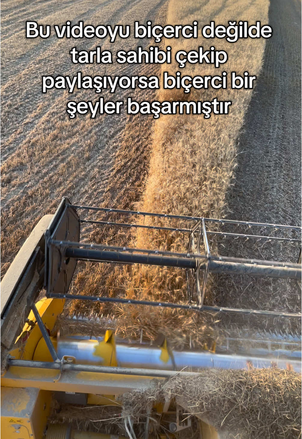 Üsten biçip sap bırakanlara gelsin:D . . #newholland #hifzihocaoğlu #tarım #keşfet #cnh #biçerdöver #tc590 