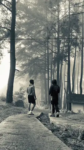 #CapCut #workout #foryou #man #discipline #fitnes 