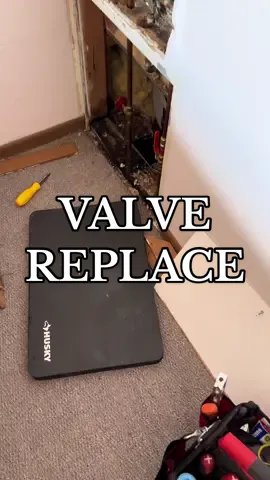 moldy ceiling fixed #plumbing #fyp