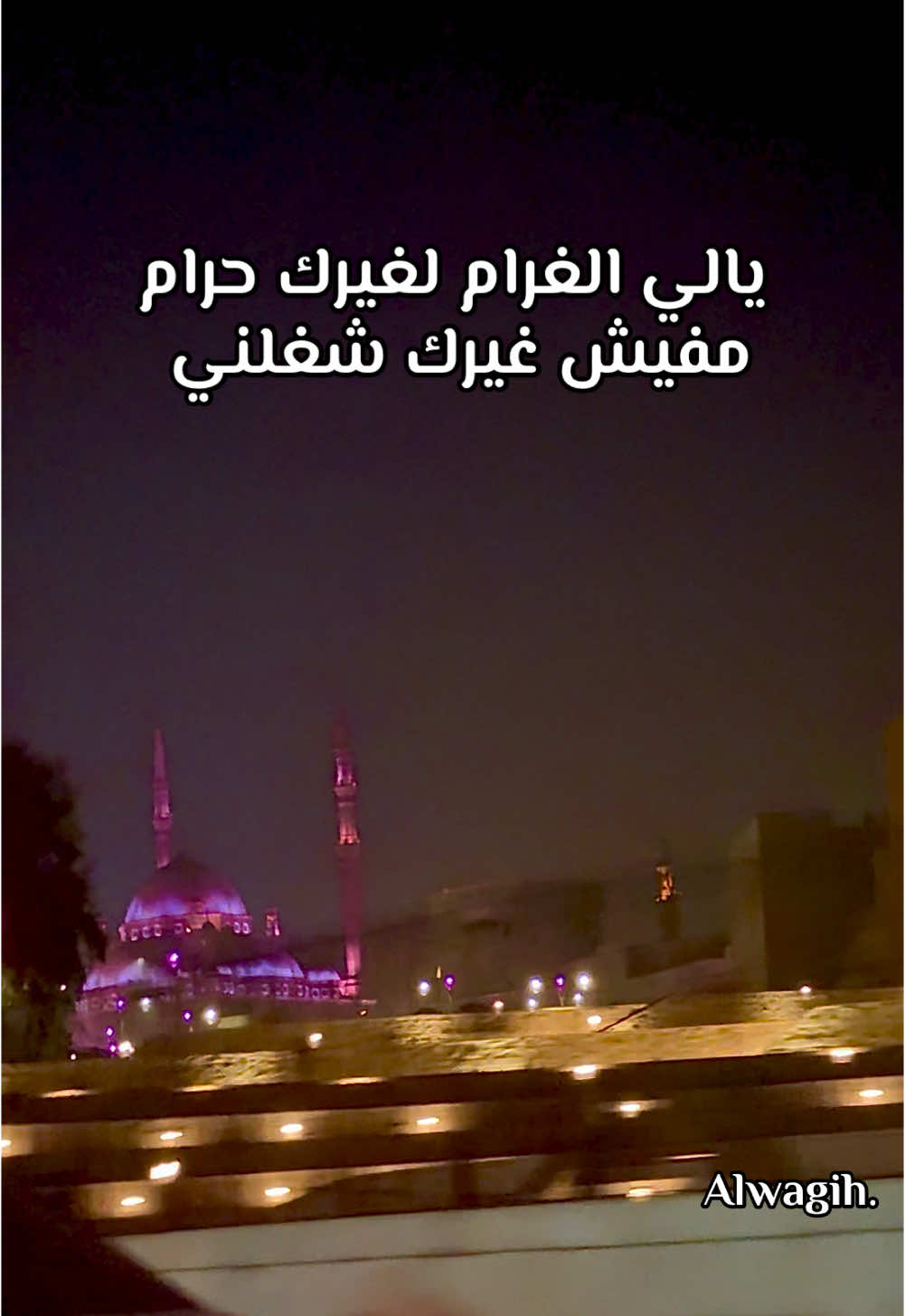 يالي الغرام لغيرك حرام ❤️ #القلعه #❤️‍  #fypp #foru #viral_video #explore #fyp #tik_tok #🌹  #اكسبلور 