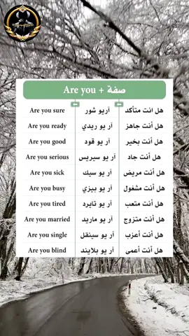 التعلم اللغة الانجليزية بدون المعلم وبي أسهل طريقة لي حفظ #التعلم_في_تيك_توك #التعلم_اللغة_الإنجليزية #fouryou #verl 