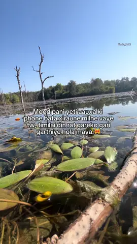 😆#thapa_honi #klprmuser🌈 #fpyシ 