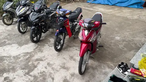 Chúc mừng năm mới #newyear2025 