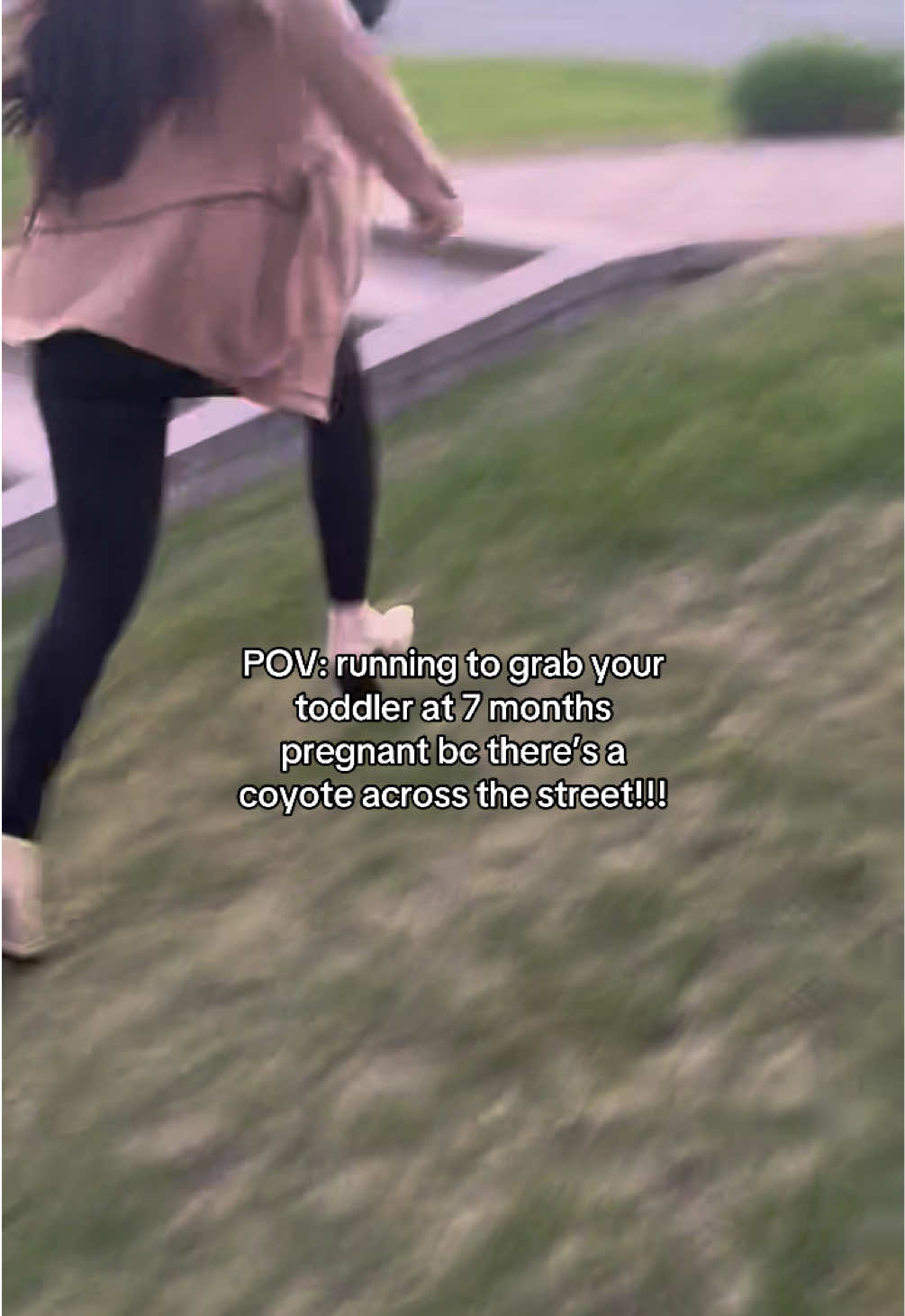 Scariest moment of my life!! 😭 #coyote #toddler #daylight #evening #afterwork #scariestmomentofmylife #mamatotherescue #7monthspregnant #momreflexes #motherhood 