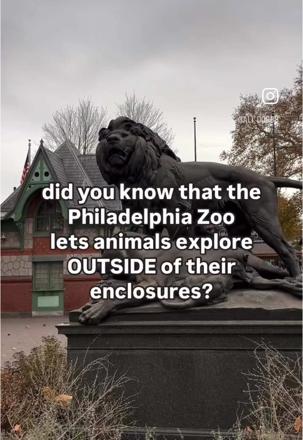 if you haven’t seen the zoo360 trail at the @Philadelphia Zoo what are you waiting for??? #fyp #zoo #zoopals #zoophotography #zooinfluencer #zooanimals #funnyanimals #funnyanimal #zookeeper #animalvideos #wildlife #wildlifeconservation #zootok 