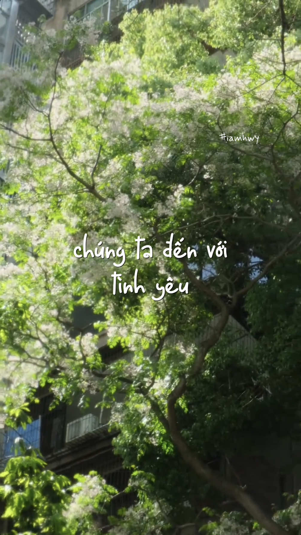 #iamhwy2509 #fypシ #xuhuong #lyrics #podcasts #foryou #trending #quote #chualanh 