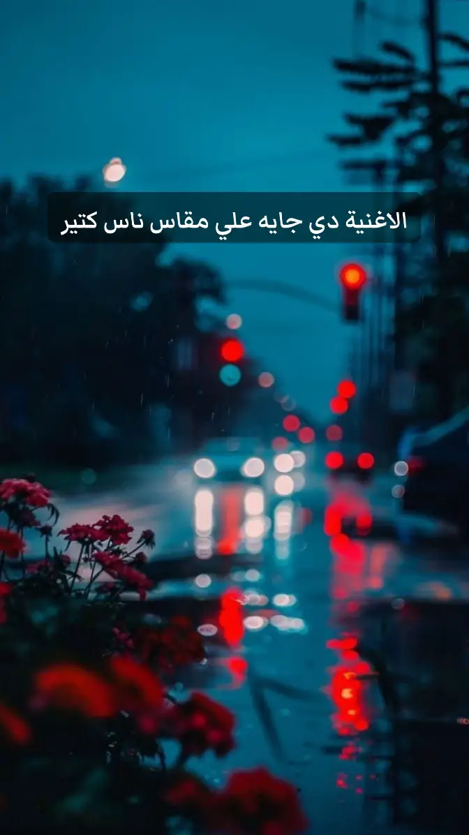 #مصطفي_كامل #مجرد________ذووووووق🎶🎵💞 #تصميم_فيديوهات🎶🎤🎬 #مصمم_فيديوهات🎬🎵 #حالات_واتس #موسيقى #كويت_قطر_البحرين_السعوديه_الامارات #المغرب🇲🇦تونس🇹🇳الجزائر🇩🇿 #مصر #ليبيا #السعودية #الكويت @Mostafa Kamel #fyp #fypシ #foryou #parati 