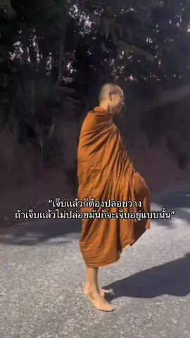 #เจ็บแล้วต้องรู้จักปล่อยวาง #ธรรมมะสอนใจ #คําคม 
