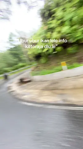 #masukberandagak #hiling #toraja #2025 #fypシ゚viral #fyppppppppppppppppppppppp 