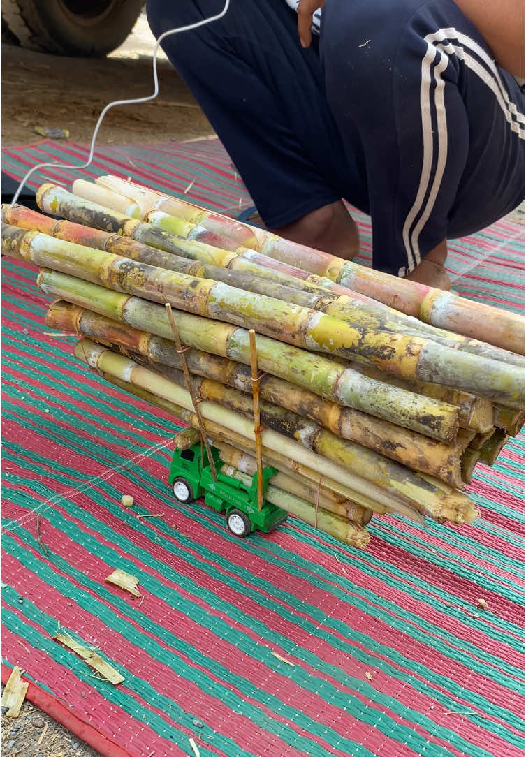 ติดคิว นานเป็นเหตุ#40หัวม่วง😈 #โรงน้ําตาลสีคิ้ว #อ้อยด่วนครบุรี🚛💨 #โคราชหวานมาก🤫 @ต้น ชัยชนะทัวร์ 