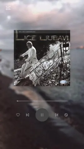 #zeljkosamardzic #svesiminaplatila #balkansong #balkansongs #fyp 