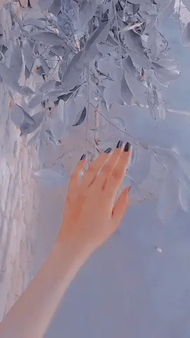 #foryou #foryoupage❤️  #viralmyvideoplztiktok  #unfreezemyacount  #growmyaccount  #plzzztiktokdontanderviwesmyvideos  #tiktokteamsportmevairlmyvideopleas  #❤️❤️❤️❤️❤️❤️❤️❤️❤️❤️❤️❤️ #🤗🤗💓 