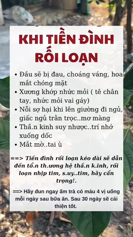 Dấu hiệu nào bạn đang bị rối loạn tiền đình #thaomoc #trathaomoc #baithuocdangian #meochuabenhdangian #biquyetsongkhoe 